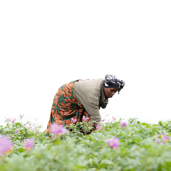 In two years, we’ve harvested more, bought land, and improved our home. Each season brings us closer to a better future.